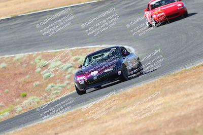 media/May-06-2023-Lucky Dog Racing (Sat) [[8f2256f436]]/Turn 2 10a/